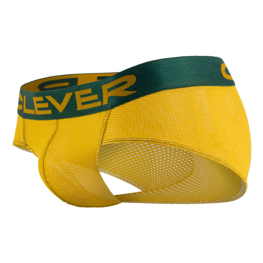 Manhattan Matrix Briefs