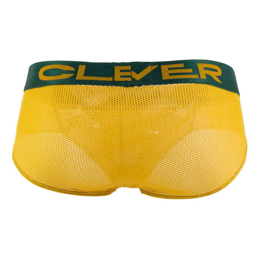 Manhattan Matrix Briefs