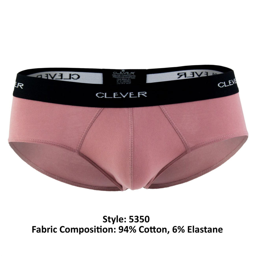 Conservative Latin Briefs