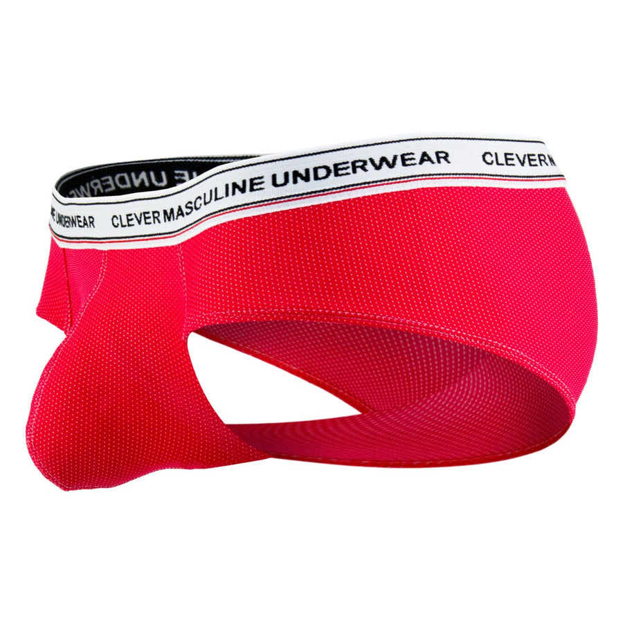 Galileo Latin Briefs