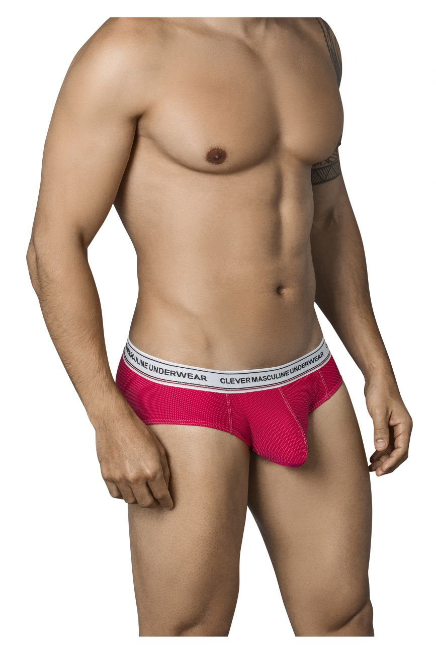 Galileo Latin Briefs