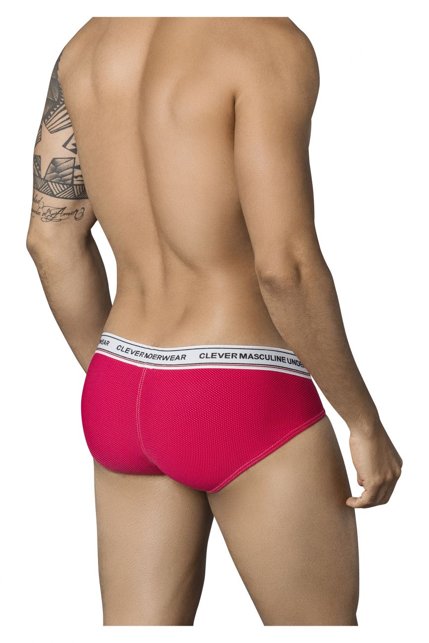 Galileo Latin Briefs