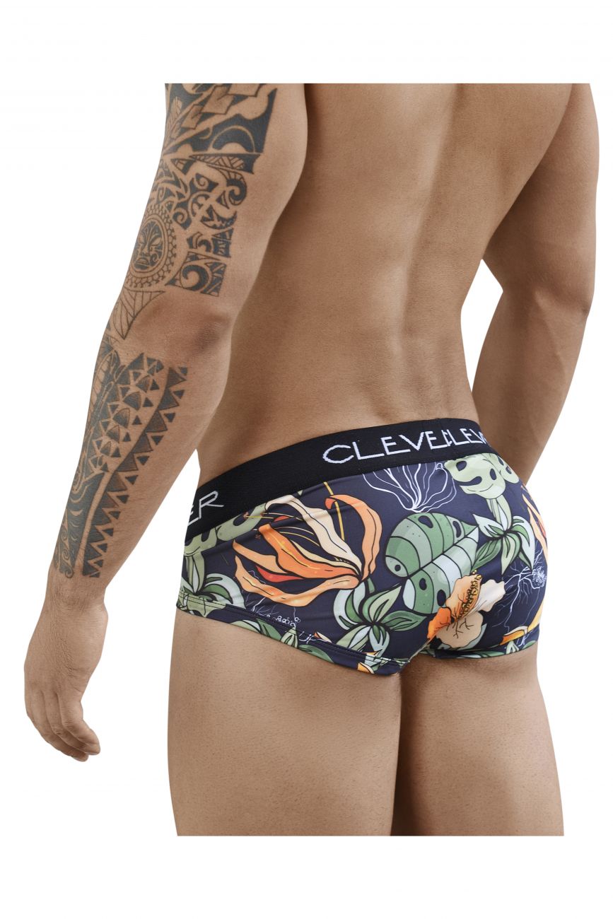 Lotus Piping Briefs