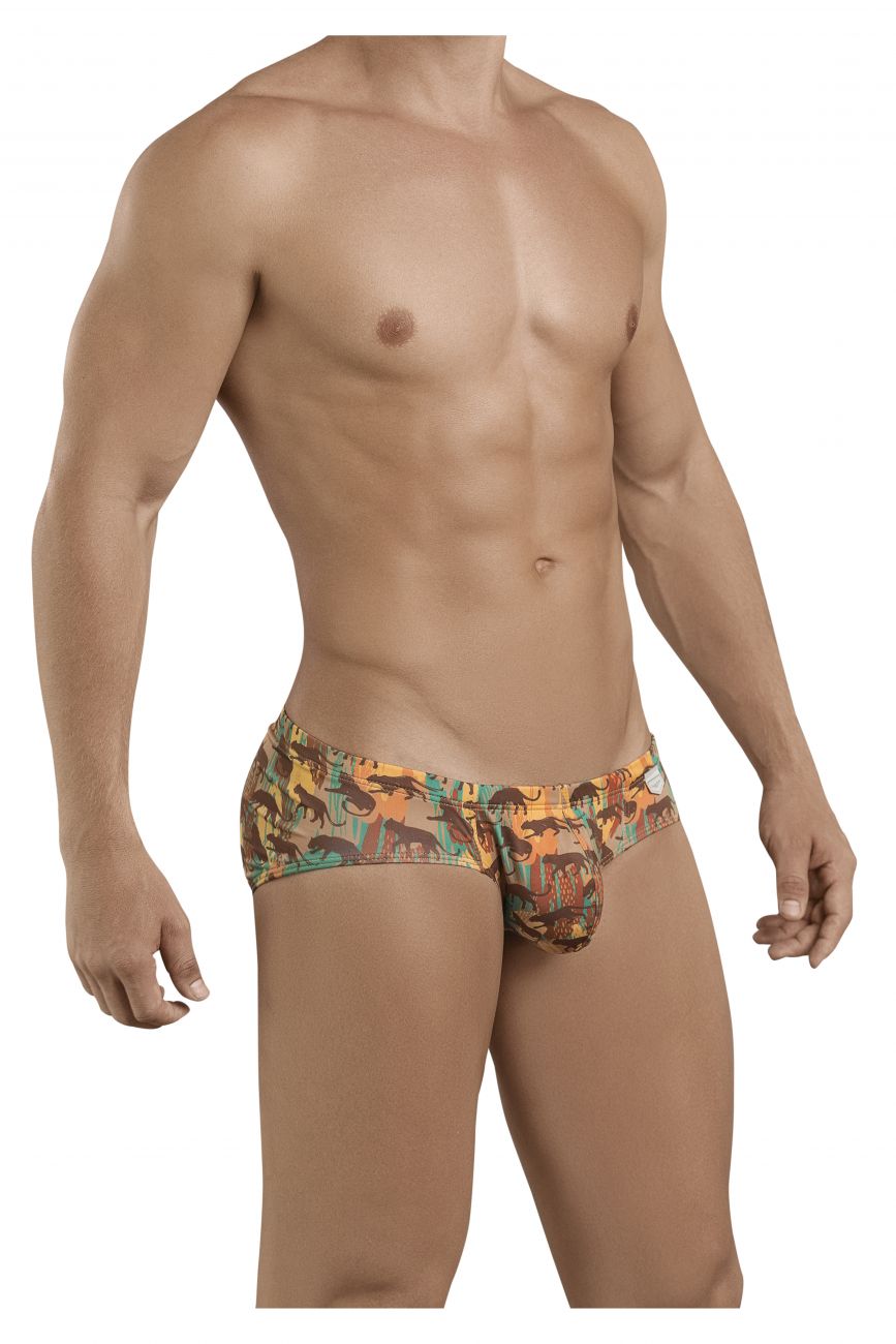 Echo Latin Briefs