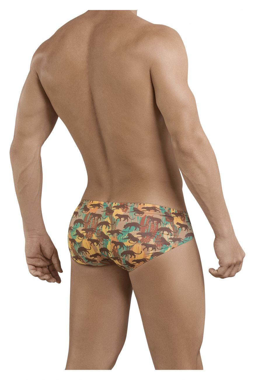 Echo Latin Briefs