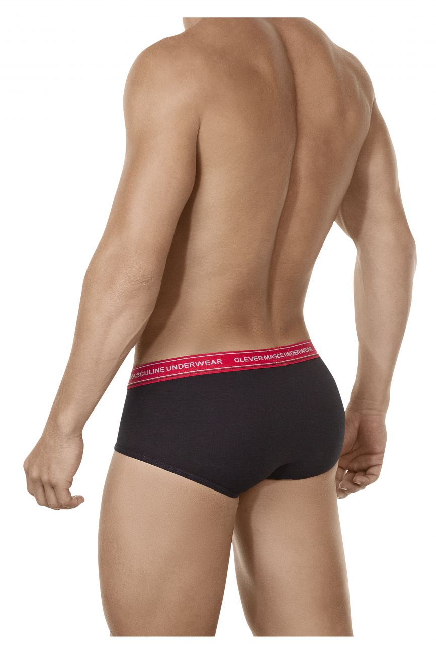 Senses Briefs