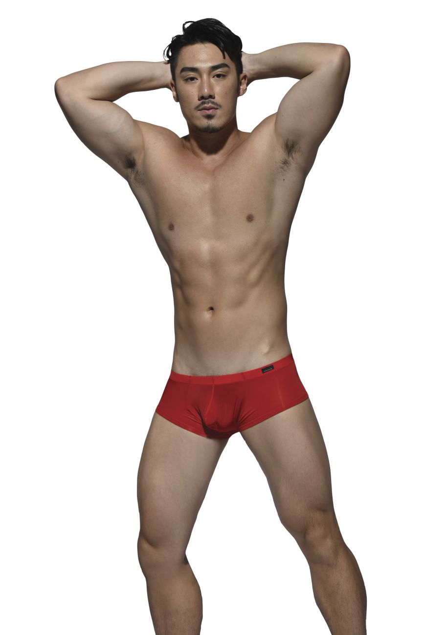 Desire Glaze Hipster Boxer Brief