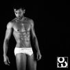 FEEL Modal Briefs