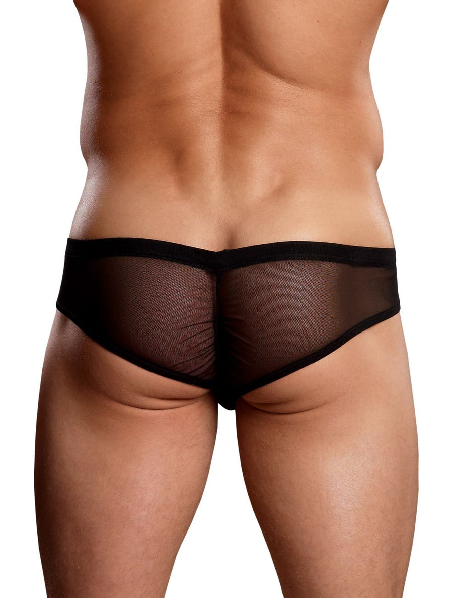 Euro Male Mesh Shirred Pouch Manty Briefs