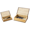 2pc Faux Book Safe Set