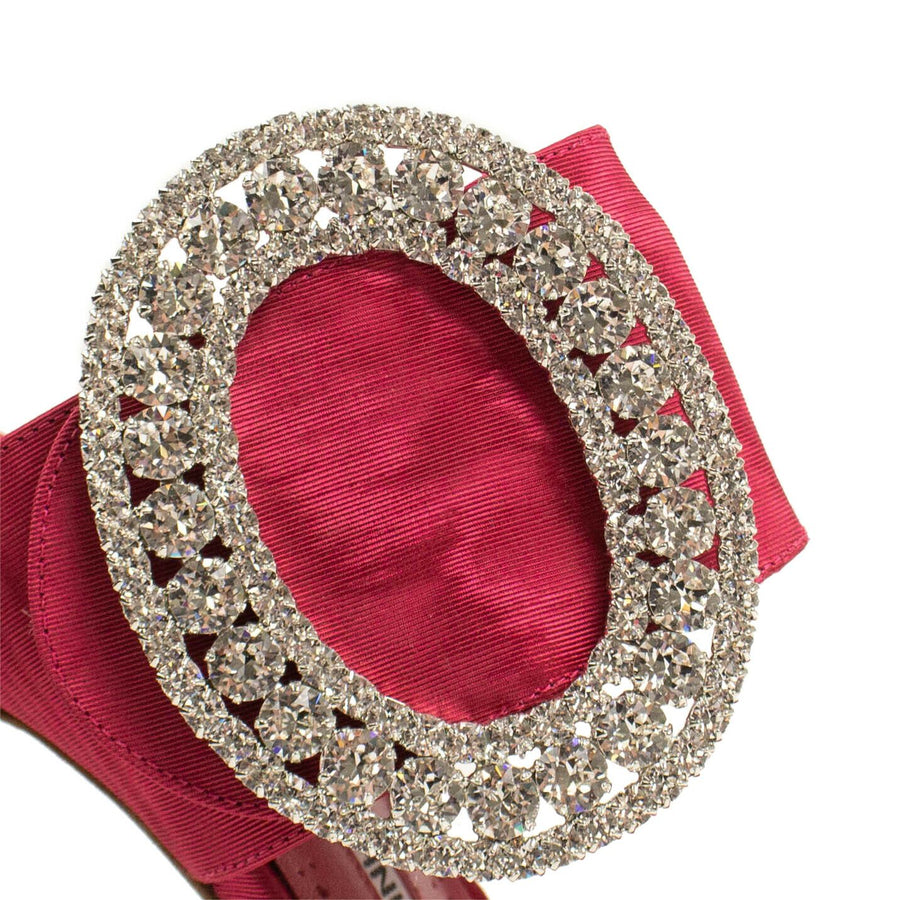 Fibiona Crystal Mule Pumps - Pink