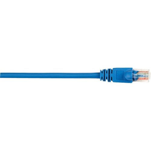 Black Box CAT6 Value Line Patch Cable, Stranded, Blue, 25-ft. (7.5-m)