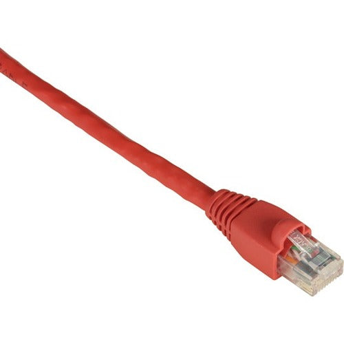 Black Box SpaceGAIN CAT6 Reduced-Length Patch Cable, Red
