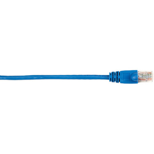 Black Box CAT6 Value Line Patch Cable, Stranded, Blue, 3-ft. (0.9-m), 25-Pack