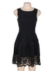 Lace Mesh Sleeveless Pleated Black Skater Dress