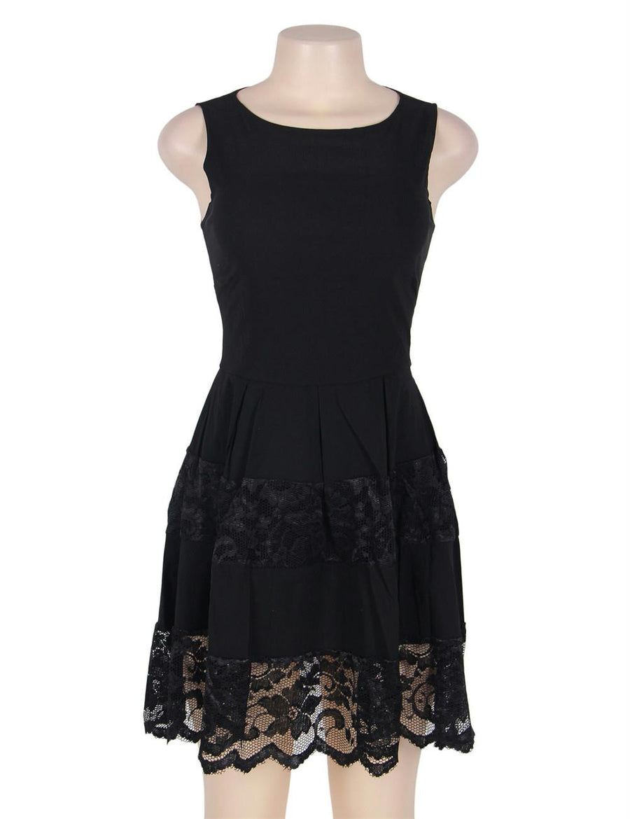 Lace Mesh Sleeveless Pleated Black Skater Dress