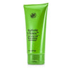 Replicate & Renew Plant Stem Cell Replenishing Conditioner - 177ml/6oz