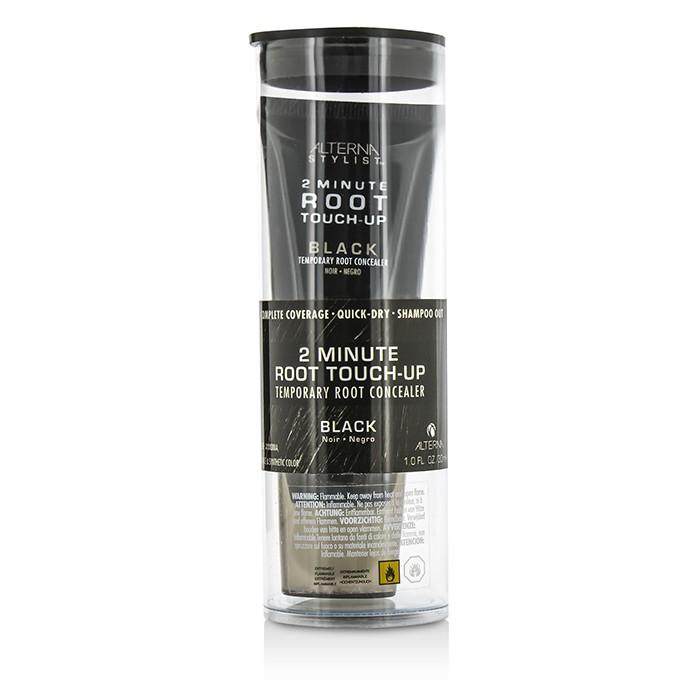 Stylist 2 Minute Root Touch-up Temporary Root Concealer - # Black - 30ml/1oz