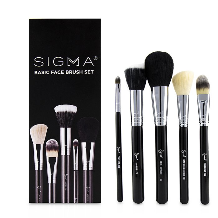 Basic Face Kit Professional Brush Collection - 5pcs