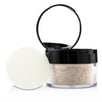 High Performance Blurring Loose Powder - # 02 Light - 17.5g/0.62oz