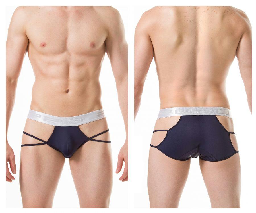 Briefs