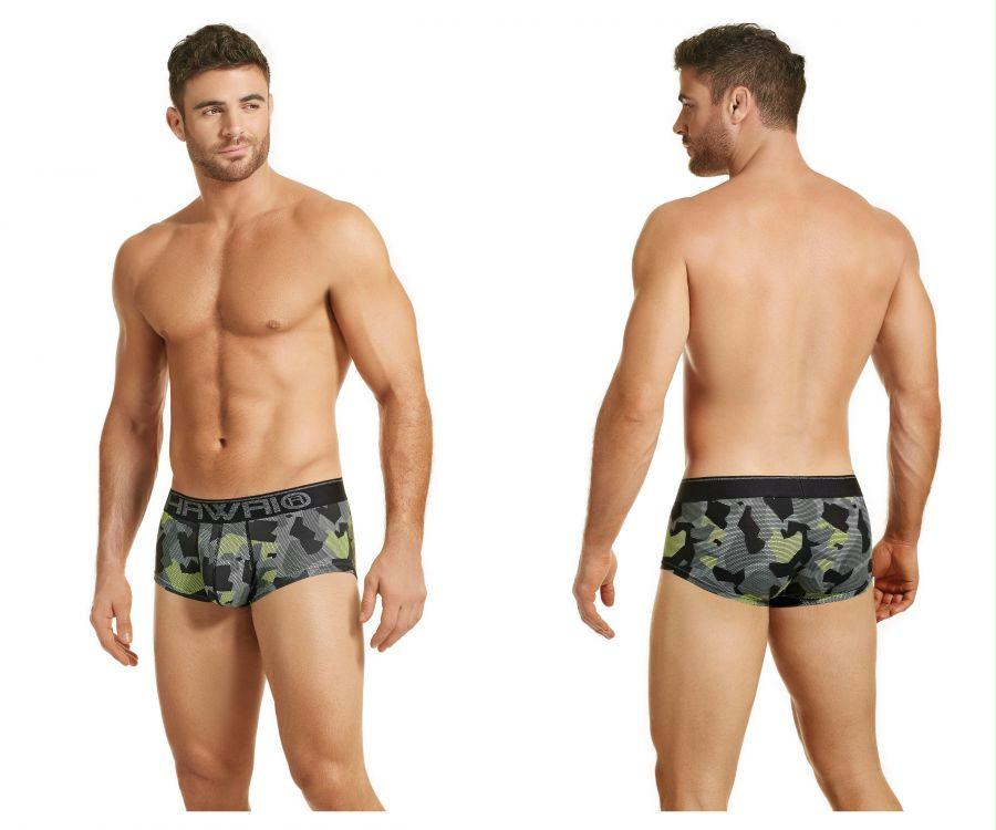 Briefs