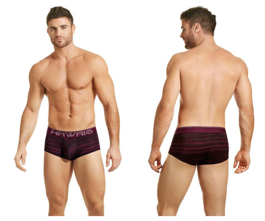 Briefs