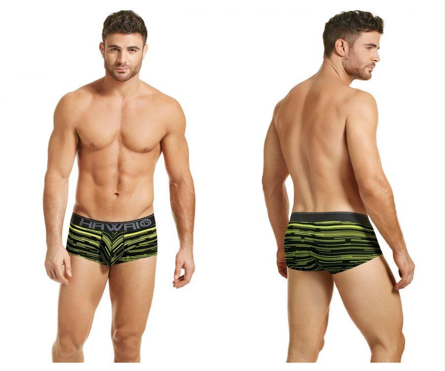 Briefs
