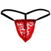 Stretch Lace Posing Strap Thong