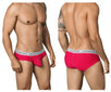 Galileo Latin Briefs