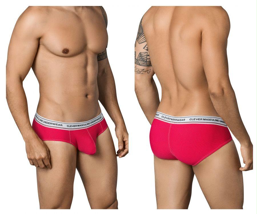 Galileo Latin Briefs