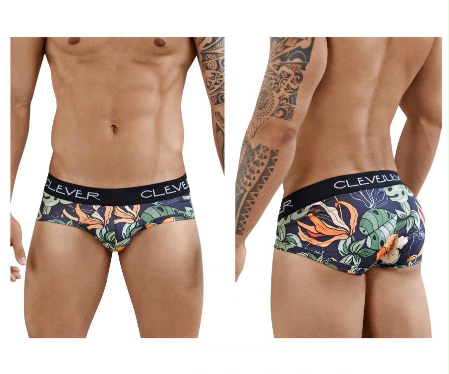 Lotus Piping Briefs