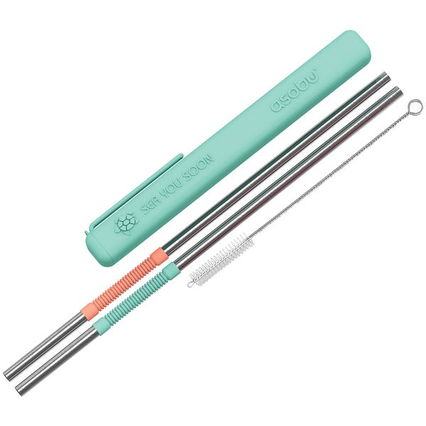 Eco-Friendly Reusable Straws (Mint/Coral)