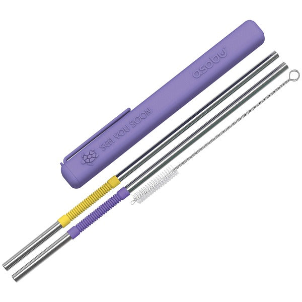 Eco-Friendly Reusable Straws (Purple/Yellow)