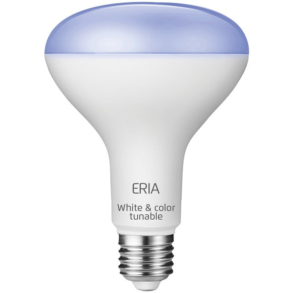BR30 Colors and White Shades Smart Light Bulb