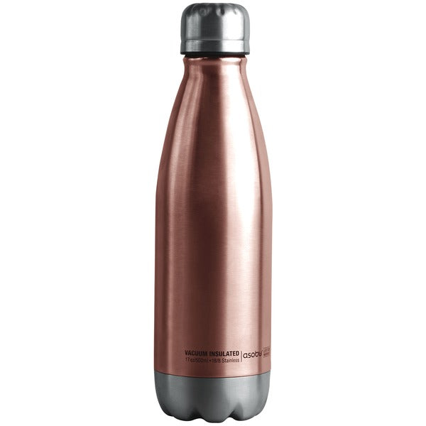 17-Ounce Central Park Water Bottle (Copper/Silver)