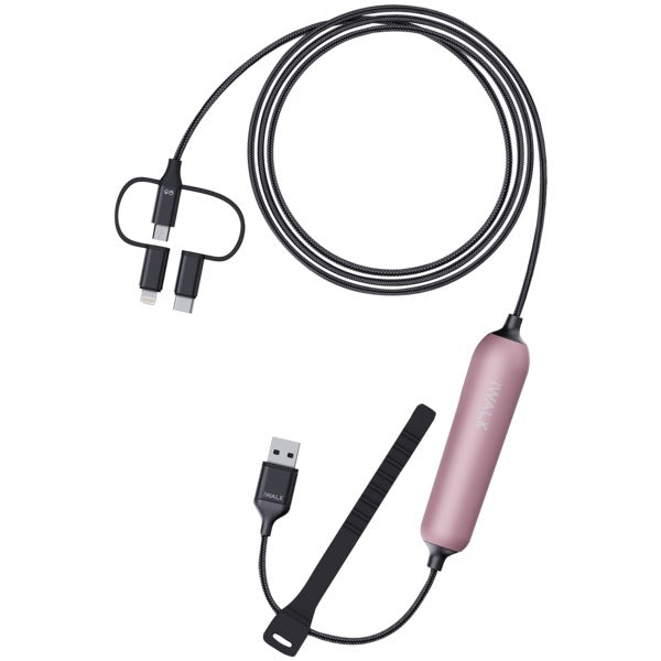 Power Line 3-in-1 Cable and Battery