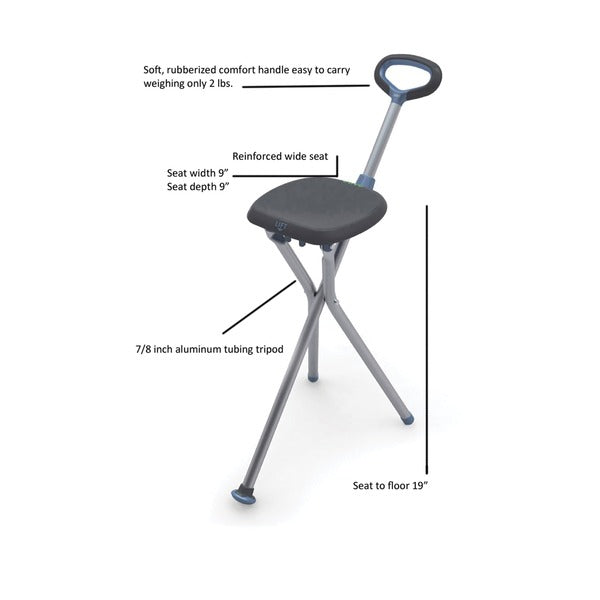 Travel Seat & Cane