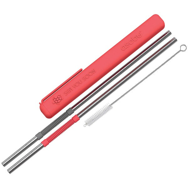 Eco-Friendly Reusable Straws (Red/Black)
