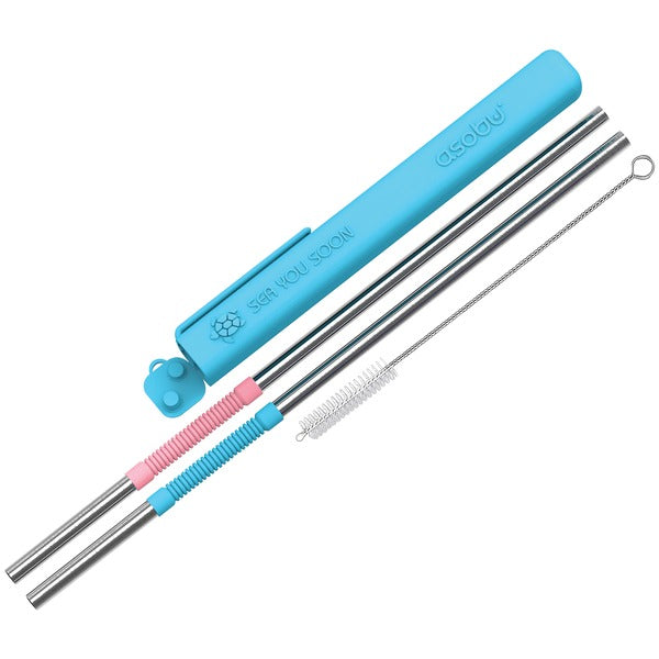 Eco-Friendly Reusable Straws (Blue/Pink)