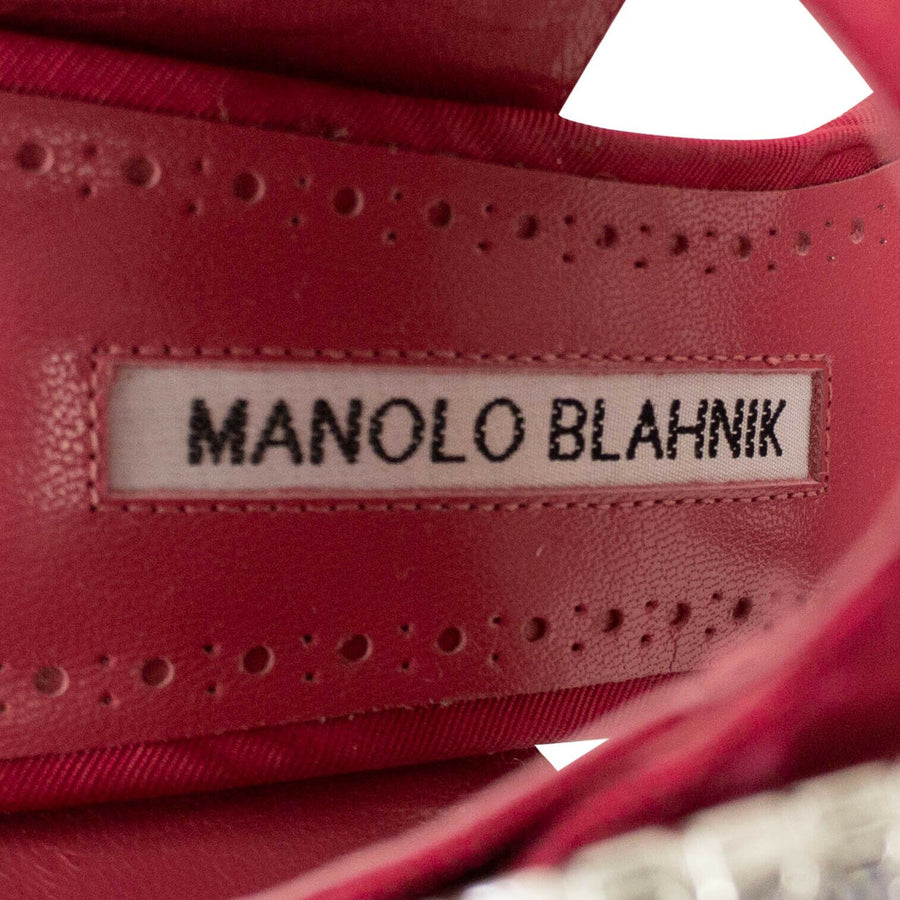 Fibiona Crystal Mule Pumps - Pink