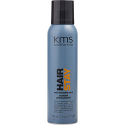 Hair Stay Anti-humidity Seal 4.1 Oz