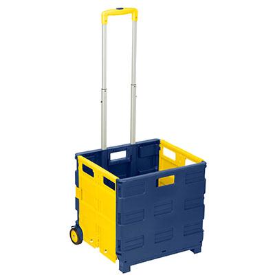 Rolling Folding CarryAll Crate