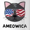 Ameowica 11oz Funny 4th Of July Decorative Gift Mug For Cat Lovers
