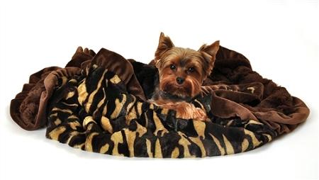 Camo 1-2 Size  pet Blanket