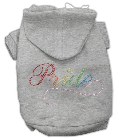 Rainbow Colored Pride Hoodies Grey Xxl (18)