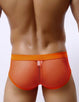 Sexy Panty For Man