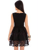 Lace Mesh Sleeveless Pleated Black Skater Dress