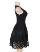 Lace Mesh Sleeveless Pleated Black Skater Dress