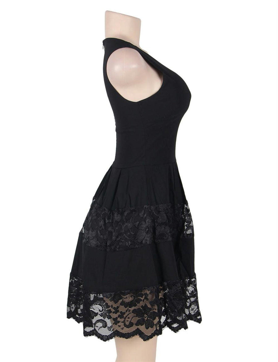 Lace Mesh Sleeveless Pleated Black Skater Dress